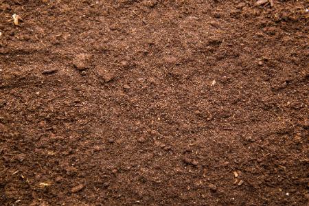 How to Use Local Topsoil and Mulch to Protect Your Landscape All Year