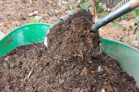 Topsoil vs. Compost vs. Mulch: Which Material Fixes Which Yard Problem?